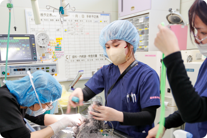 術野部分のトリマー中