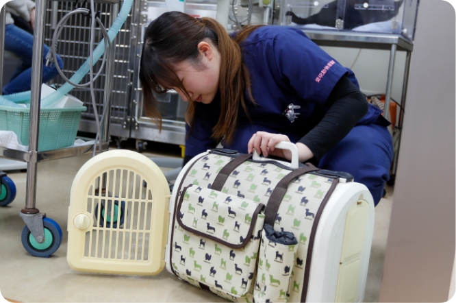 入院している動物の見回り