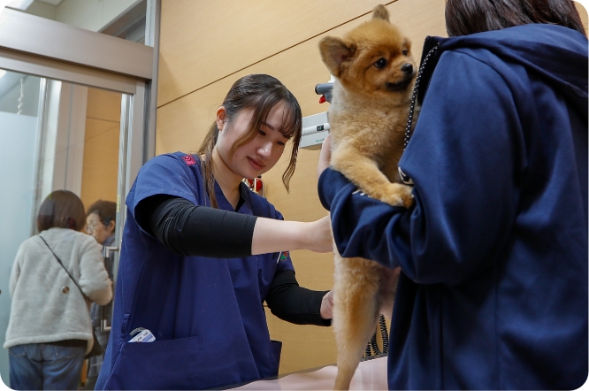 動物の体温測定