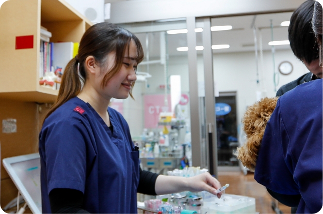 診察補助の様子