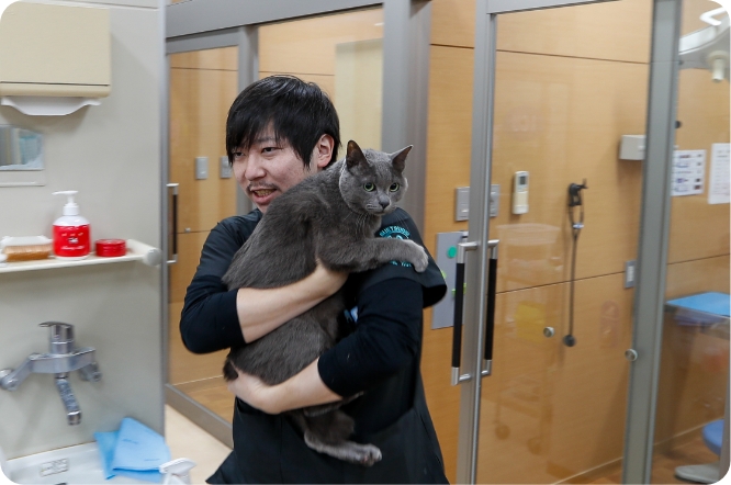 入院している動物の見回り