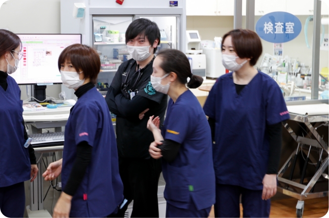 入院動物の再確認・引き継ぎ中