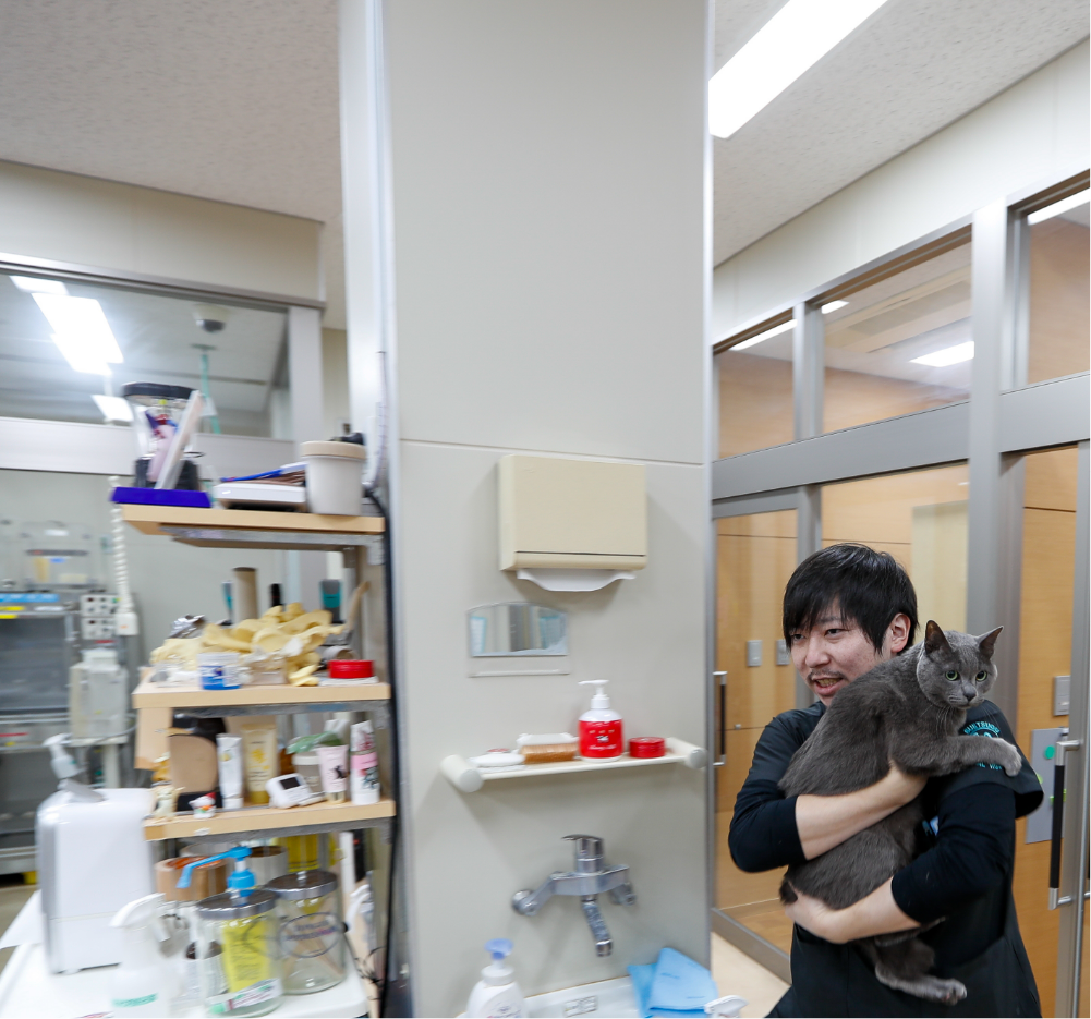 見学を予約する