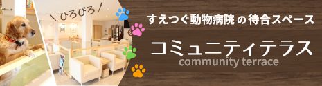 すえつぐ動物病院の待合スペース コミュニティテラス