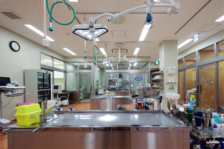 1F診察室奥処置室