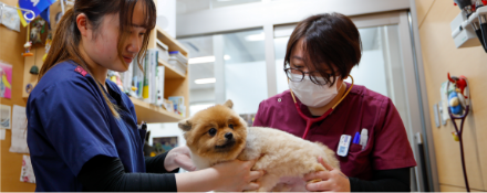 初診・再診の方へ