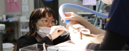 初診・再診の方へ