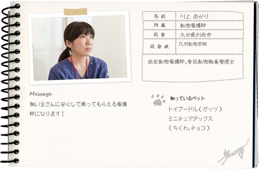川上 あかり