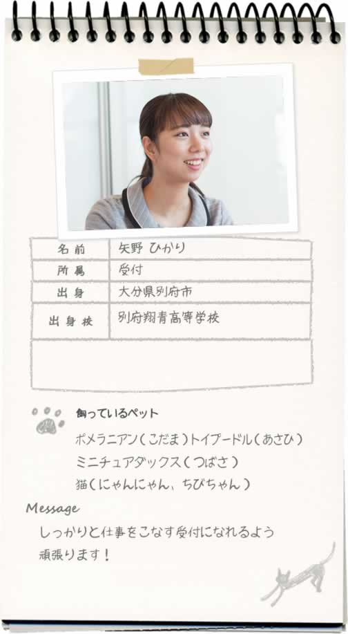 矢野 ひかり