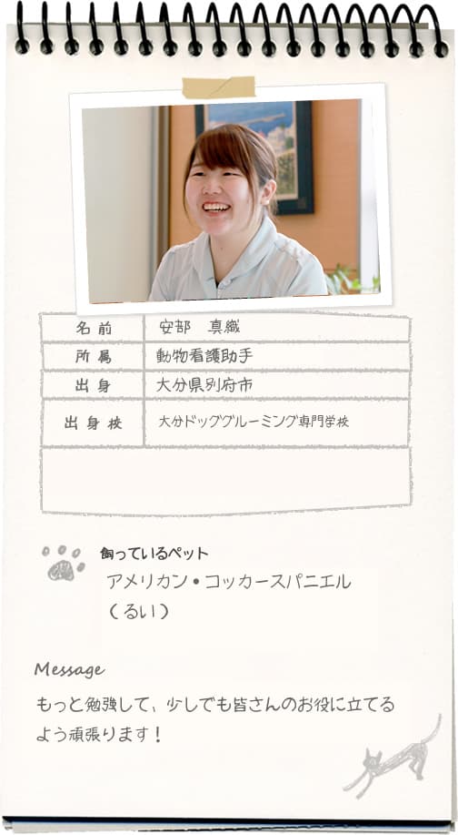 安部 真織