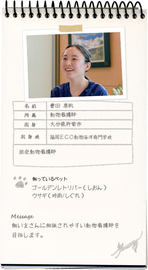 豊田 真帆