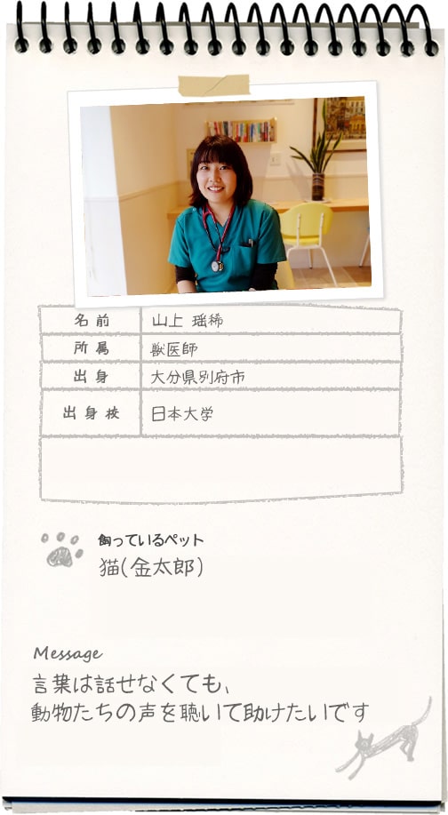 山上 瑶稀