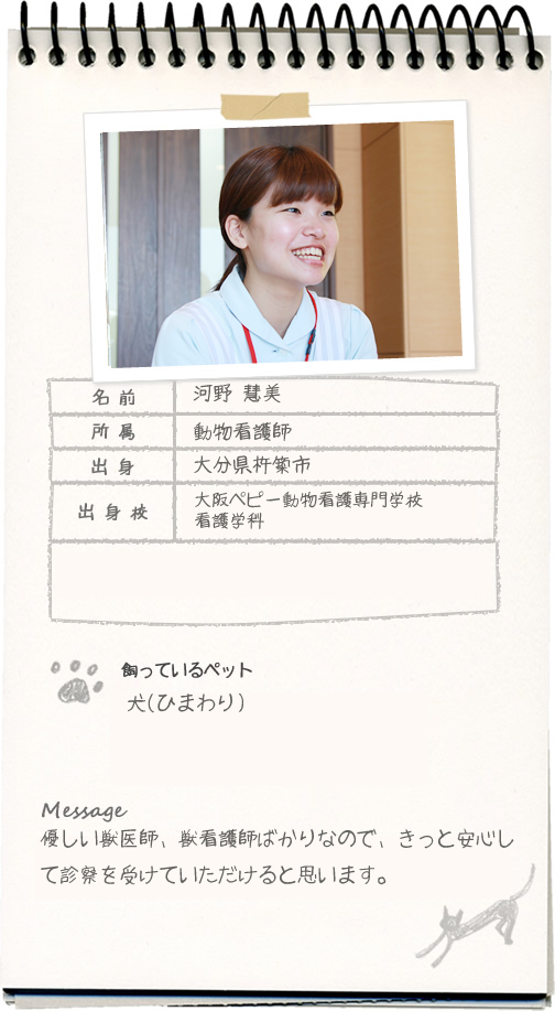 河野 慧美