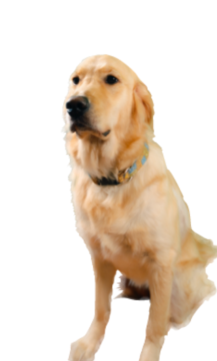 KUKUNA（ククナ）