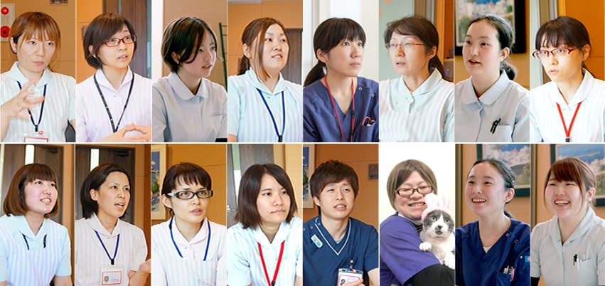 動物看護チーム - image