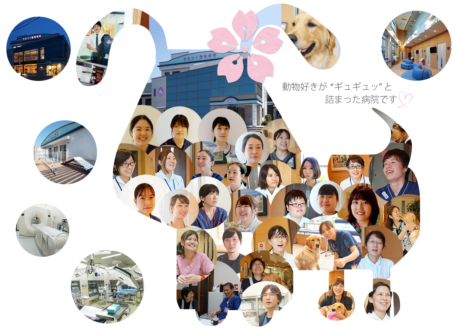 動物好きがギュギュッと詰まった病院です