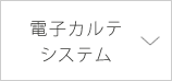 電子カルテシステム