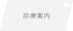 診療案内