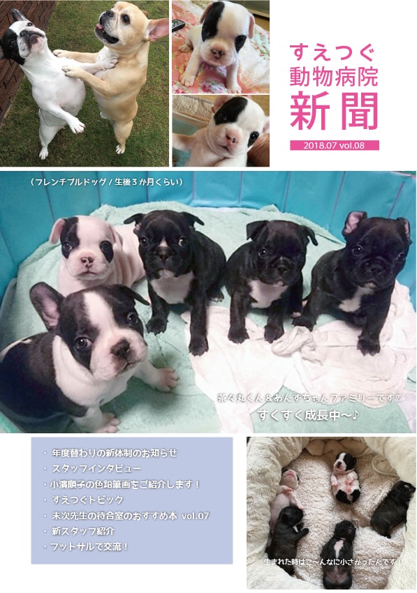 すえつぐ動物病院新聞(第8号)ができました