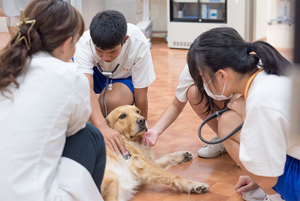 中学生の職場体験学習