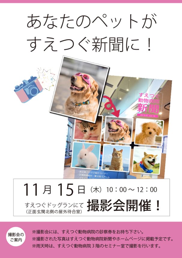 11月15日(木)に撮影会を開催いたします