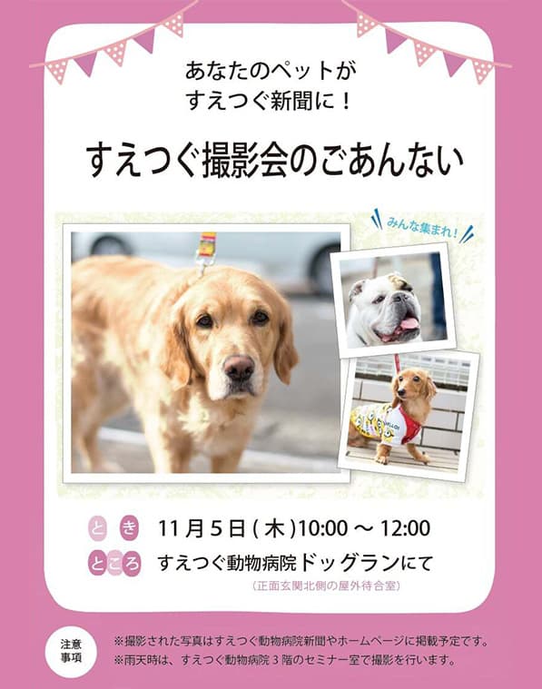 11月5日(木)にペット撮影会を開催いたします