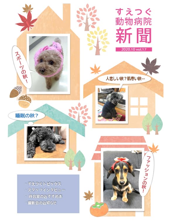 すえつぐ動物病院新聞の第17号ができました