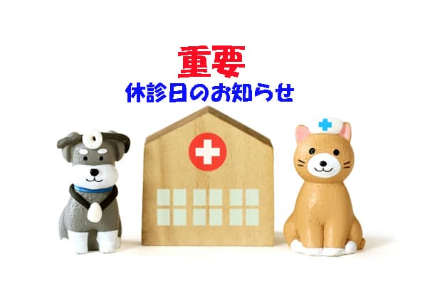 年末年始の診察について