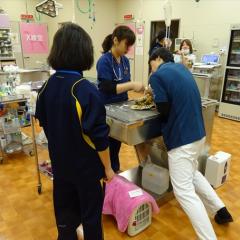 北部中学校さんの職場体験学習