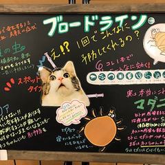 ブロードラインキャンペーン！11月の抽選結果発表！！