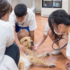 中学生の職場体験学習