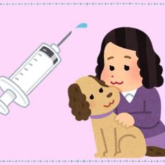 狂犬病予防接種はお済みですか？