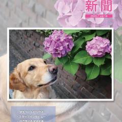 すえつぐ動物病院新聞の第16号ができました