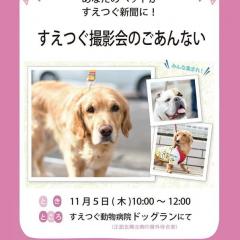 11月5日(木)にペット撮影会を開催いたします
