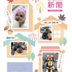 すえつぐ動物病院新聞の第17号ができました