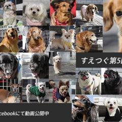 第5回撮影会ムービーをFacebookで公開しています