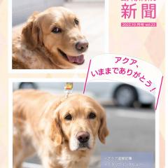 すえつぐ動物病院新聞の2022年10月号(第22号)ができました