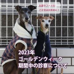 《重要》2023年GW期間中の診療について★お薬の注文・フードの注文はお早めにご連絡お願いします