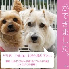 すえつぐ動物病院新聞の2024年春号(第24号)を発行しました