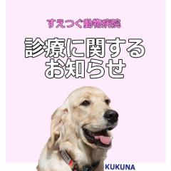 2025年GW期間中の診療について★お薬の注文・フードの注文はお早めにご連絡お願いします