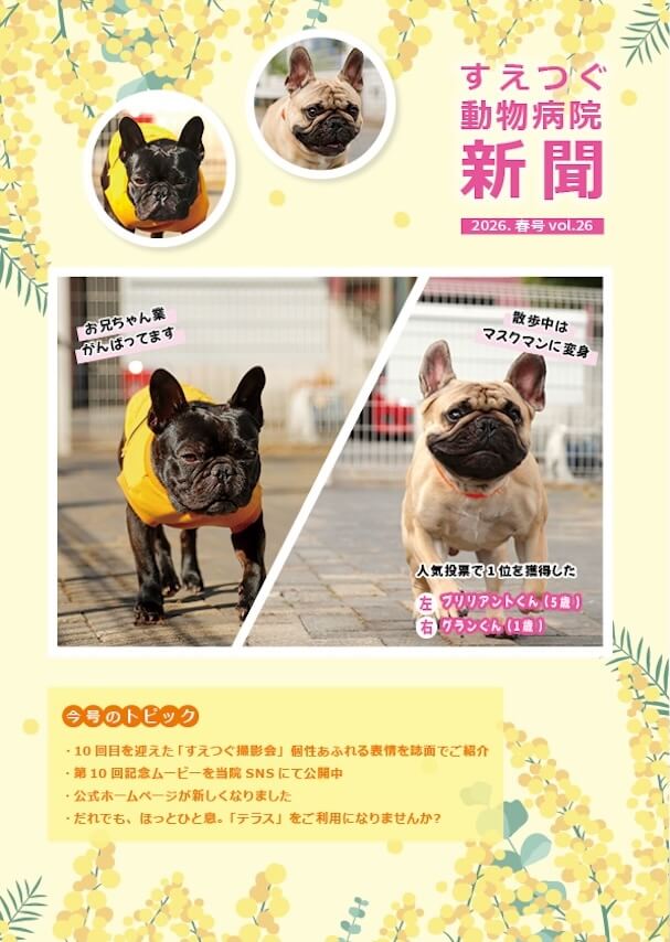すえつぐ動物病院新聞の2026年春号(第26号)を発行しました