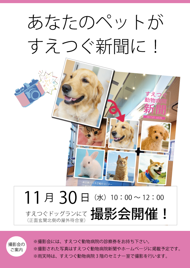 あなたのペットがすえつぐ新聞に!撮影会を開催