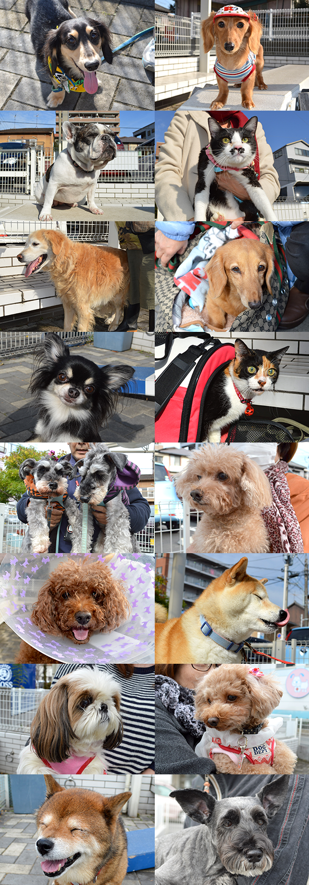 すえつぐ撮影会!ご参加ありがとうございました!