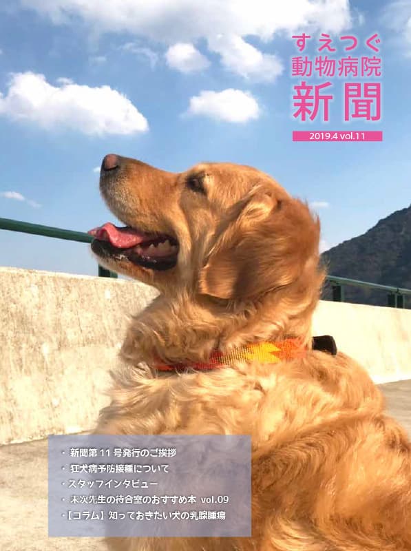 すえつぐ動物病院新聞2019年４月号（第11号）ができました