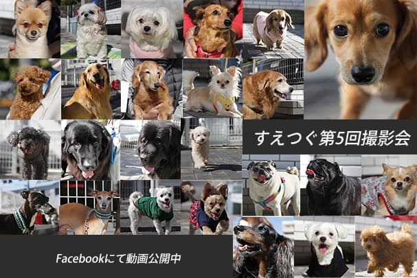 第5回撮影会ムービーをFacebookで公開しています