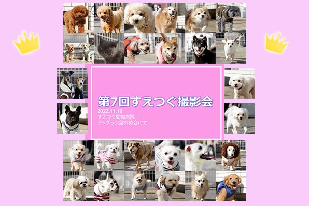 第7回撮影会ムービーをSNSにて公開中!