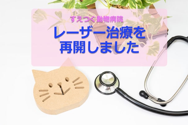 レーザー治療再開のお知らせ