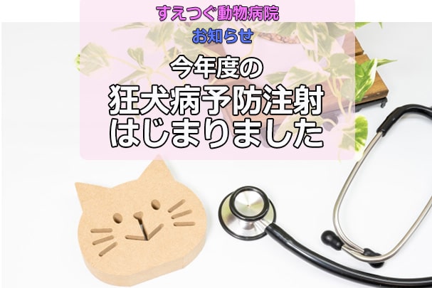 《重要》今年度の狂犬病予防注射が始まりました