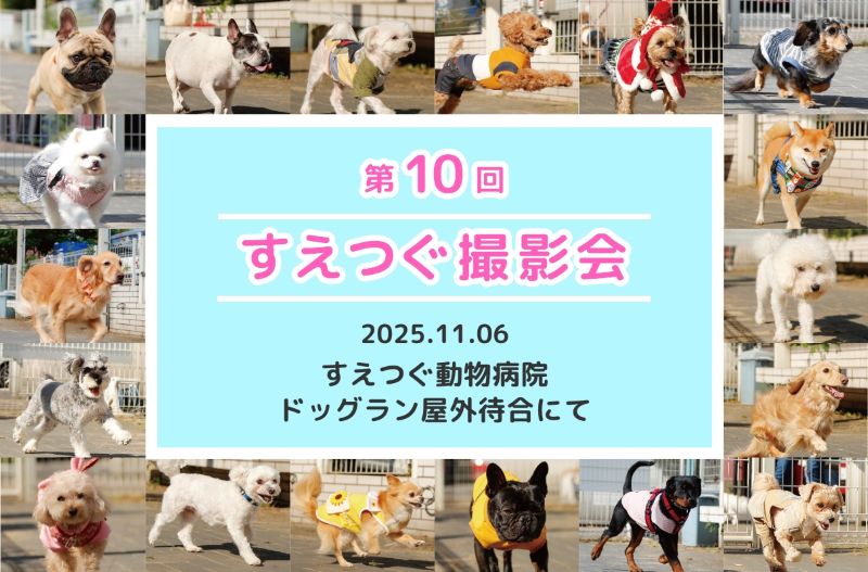 第10回撮影会ムービーをSNSにて公開中！