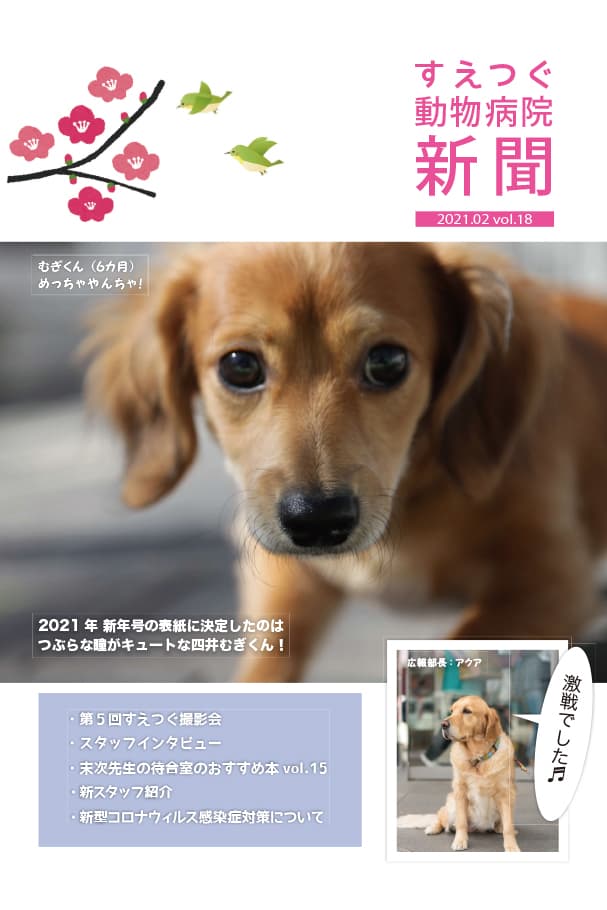 すえつぐ動物病院新聞の第18号ができました